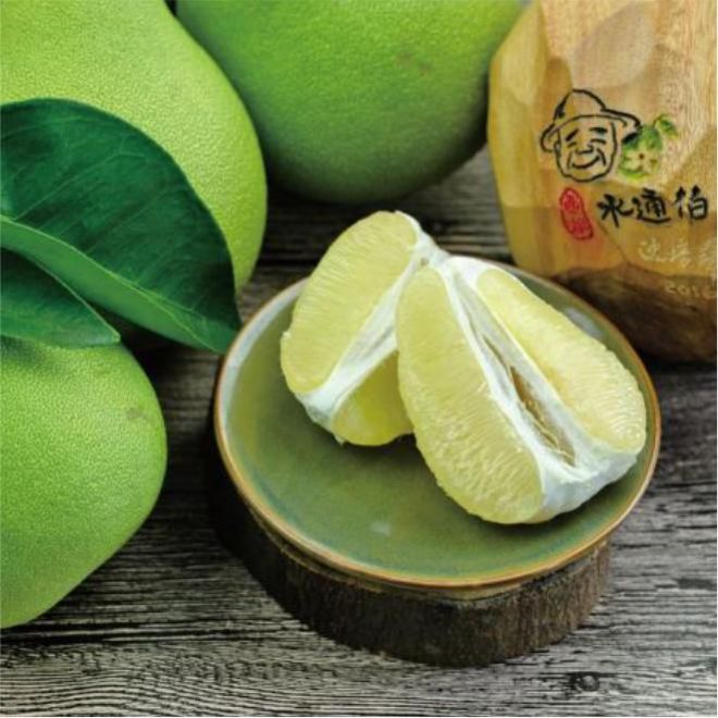 苗栗-西湖柚圓了1日-北出