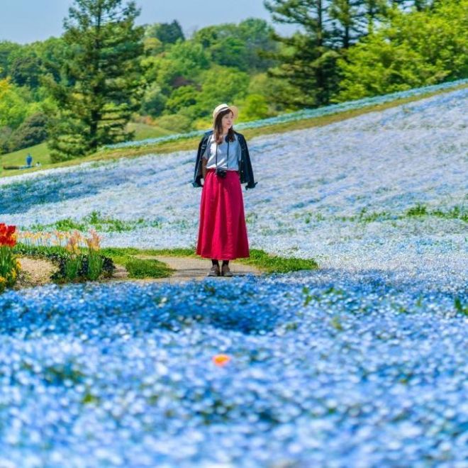 花現精彩四國5日