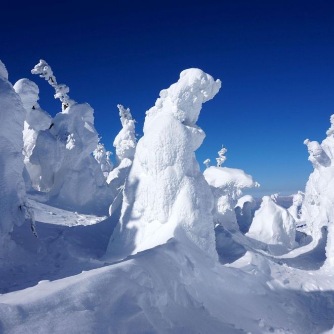 遇見雪怪。冬季奇幻樹冰