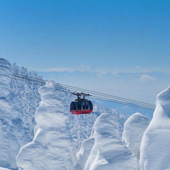 遇見雪怪。冬季奇幻樹冰